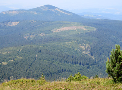 Auf dem Groen Schneebergs ist 9 Monate Winter und 3 Monate kalt. Blick auf den Czarna Gra (Schwarzer Berg) 