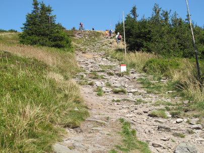 Direkt an der polnischen-tschechischen Grenze verluft der Wanderweg hinauf zum Śnieżnik (Glatzer Schneeberg/Grulicher Schneeberg/Groer Schneeberg)