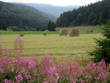 Auf dem Rennsteig-Wanderweg bei Masserberg