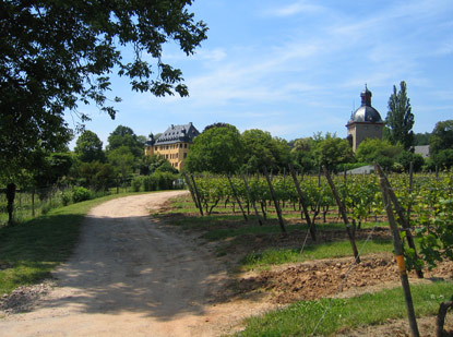 Rheinsteig: Nur noch wenige Schritte zum Schloss Vollrads