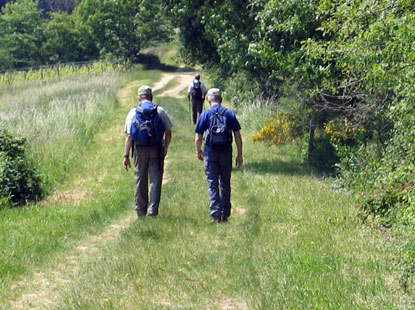 Rheinteig: Im Rheingau verluft der Wanderweg selten auf Asphaltwegen