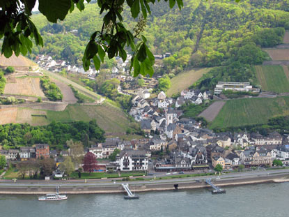 Rheinburgenweg: Auf der gegenberliegenden Rheinseite des Schweizerhauses liegt Assmannshausen. Eine Rotweininsel.