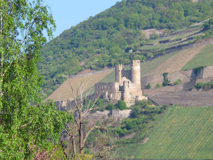 Rheinburgenweg: Burgruine  Ehrenfels auf der gegenberliegenden Rheinseite ist ebenfalls Teil des UNESCO Welterbes Oberes Mittelrheintal