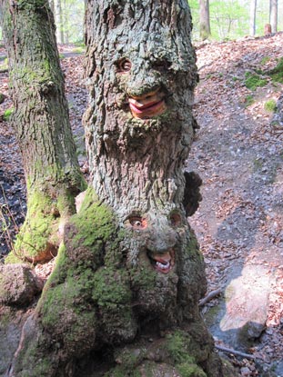 Rheinburgenweg-Wanderung: In der Steckeschlfer-Klamm trifft man auf unzhlige Waldgeister