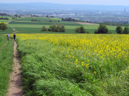 Blick in der Nhe vom Hochkreuz auf das Neuwieder Becken und die Stadt Andernach