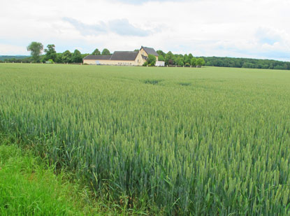 Wanderung Rhein: Hochflche Mnchsheide.  Im Hintergrund der bewirtschaftete Gutshof