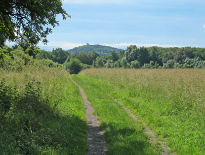 Burgenweg oberhalb von Rolandseck