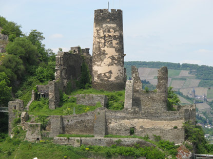 Wanderung Rheinburgenweg: Die Burgruine Frstenberg liegt inmitten von Weinbergen oberhalb von Rheindiebach. Sie wurde im Pflzischen Erbfolgekrieg durch franzsische Truppen zerstrt.