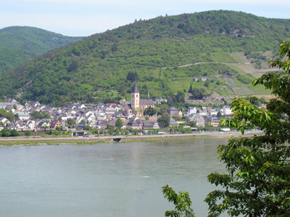 Wanderung Rheinburgenweg: Sicht auf den Weinort Lorch auf der gegenberliegenden Rheinseite 