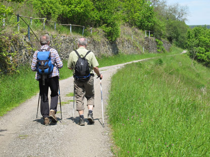 Wanderung am Rhein:  Obwohl der RheinBurgenWeg hnlich dem Rheinsteig gute Sicht auf den Rhein aufweist, sind auf ihm bedeutend weniger Wanderer unterwegs.