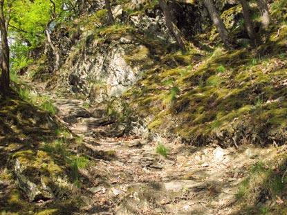 Wandern am Rhein: Steiler Abstieg auf dem Eselspfad ins Weilerbach-Tal