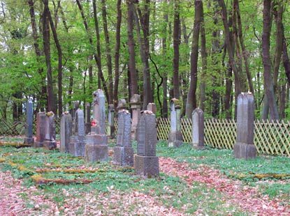 Auf dem jdischen Friedhof von Rhens befinden sich 34 Grabsteine, der lteste von 1864 (Abraham Mayer) und der jngste von 1932 (Susanne Mandel).