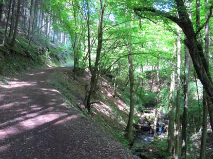 Der Rheinburgenweg verluft entlang des Belltalbachs.