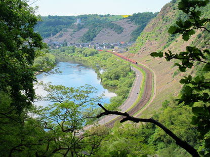 Wandern Rheinburgenweg: "Schne Aussicht" auf das Moseltal und im Hintergrund auf den Weinort Kobern