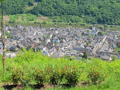 Rheinburgenweg Wanderung: Vom Aussichtspunkt Domgartenhtte Blick auf Winningen 