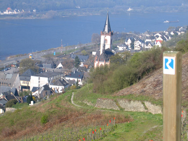 Lorch mit der Pfarrkirche St. Martin