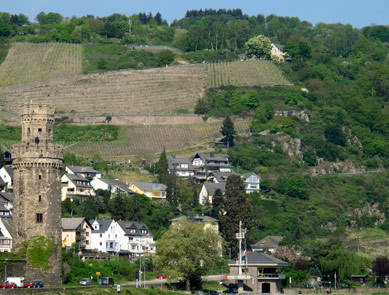 Von der Schutzhtte oberhalb vom Rostein sieht man auf Oberwesel mit  dem Ochsenturm und Grnderrodehaus