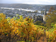 Blick auf Bad Hnningen. Im Vordergrund ist Schloss Arenfels.