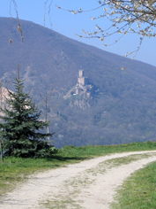 Blick vom Rheinsteig auf die gegenberliegende Burg Sooneck