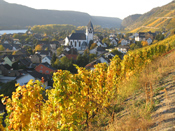 Vor uns liegt die letzte Riesling-Bastion: Leutesdorf