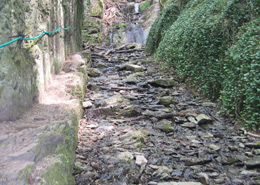 Ruppertsklamm bei Lahnstein