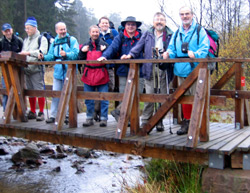 Gruppe auf einer Brcke am Schwarzbachtal - am Rothaarsteig