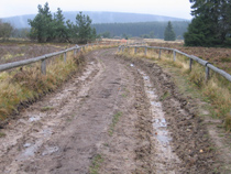 Niederfelder Hochheide auf dem Rothaarsteig