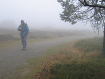 Nebelbild von Eugen auf dem Kahlen Asten