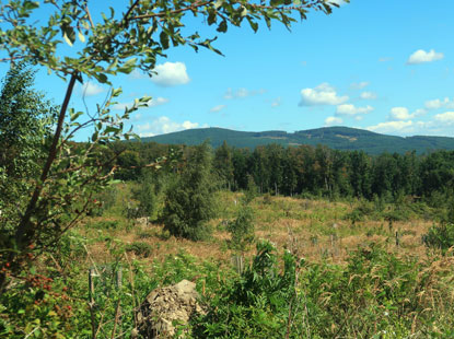 Kleine Karpaten. Blick auf die Abhnge der Kleinen Karpaten