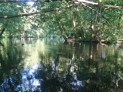 Kleine Karpaten. Der Schlosspark mit Teich in Pezinok