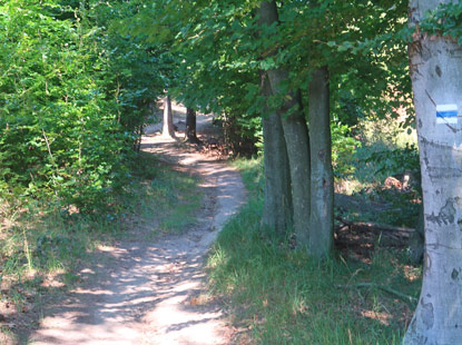 Kleine Karpaten: Ab Baba unterwegs auf dem Wanderweg mit blauer Markierung