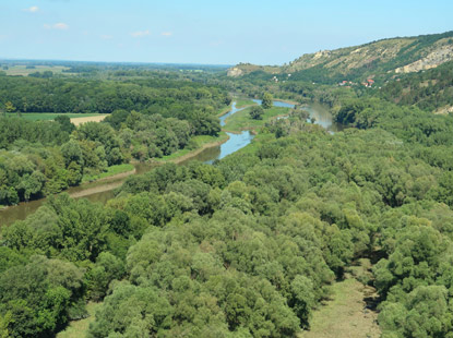 Kleine Karpaten. Morava (March)