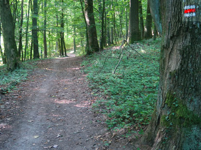 Kleine Karpaten. Modraer Stadtpark