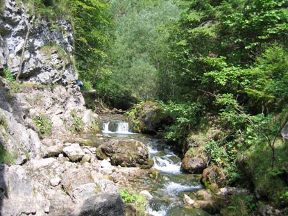 In der unteren Hlfte der  Prosiecka dolina wird die Klamm breiter und es fliet ein Bach