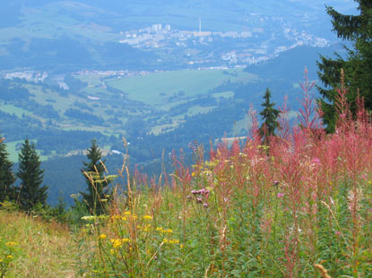 Der Ort Doln Kubn (Unterkubin) ist von vom Skigebiet Kubnska hoľa 6 km entfernt.