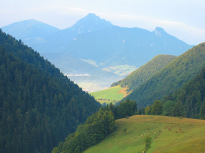 Von unser Unterkunft Veľk Havrania sehen wir im Hintergrund die Berge Veľk Rozsutec 1.610 m und Mal Rozsutec 1344 m.