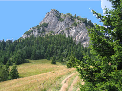 Wandern Slowakei: Wir haben den rot markierten Bergwanderweg E3 wieder erreicht und sehen vor uns den Mal Rozsutec 1.344 m.