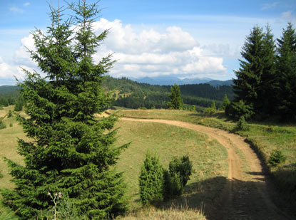 Ein Traumwanderweg ist die Etappe Doln Kubn (Unterkubin) nach Veľk Borov.