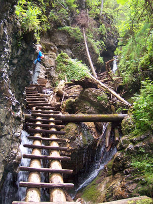 Slowakisches Paradies: Der Schwierigkeitsgrad der Wanderwege ist unterschiedlich. Hier in der Veľk Sokol (Grofalkenschlucht) wandert man auf Holzleitern.