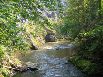 Steile Felswnde begrenzen den Flu Hornd. Das Tal zhlt zu den schnsten Wandergebieten des Slowakischen Paradieses.