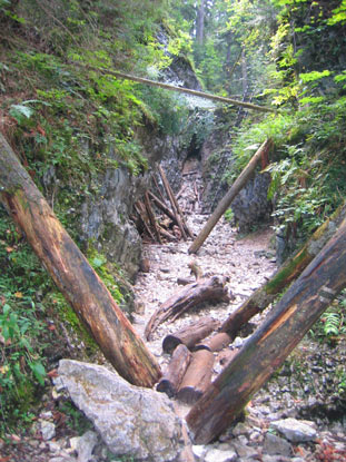 Wir wandern im Nordteil des Slowakischen Paradieses durch die Schlucht Kltorsk roklina (Klosterschlucht). 