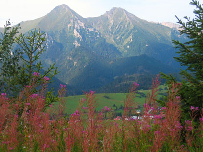 Tatra: Auf dem Kammweg der Spisk Magura (Zipser Magura) hat man schne Aussichten auf die Berge der Belaner Tatra 
