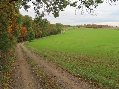 Wanerweg SaaleHorizontale oberhalb von Porstendorf