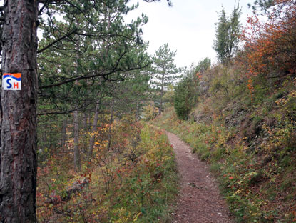 Wandrpfad auf dem SaaleHorizontale-Weg ins Mhgltal