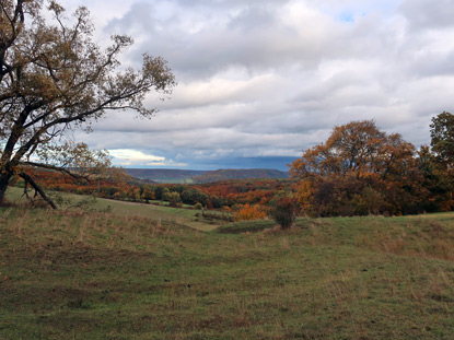 Naturschutzgebiet Windknollen