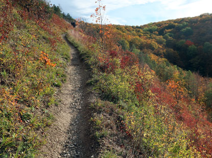 Panoramaweg bei Dondorf