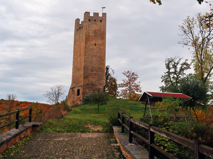 Reste der Burgruine Tautenburg 