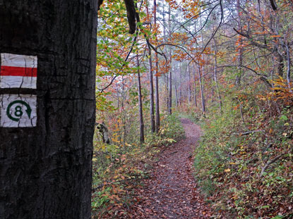 Aufatieg zur Kunitzburg auf dem Gleisberg (Gleisberg)
