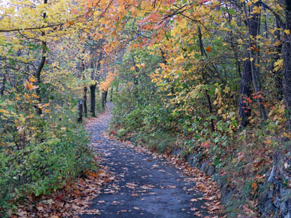 Abstieg vom Berggasthaus Jenzig ber den Saurierpfad nach Jena-Ost