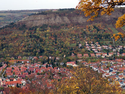 Blick vom Fuchsturm auf den Jenzig